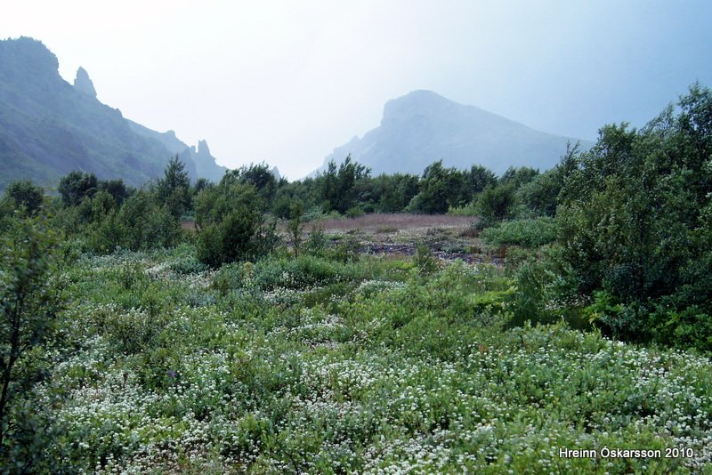 Mynd af malaraurum Krossár norðan Bása á Goðalandi tekin í átt að Réttarfelli og Valahnúk 2011. Mynd&hellip;