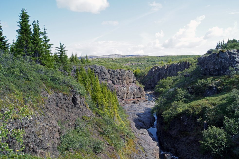 (Mynd: Esther Ösp Gunnarsdóttir)