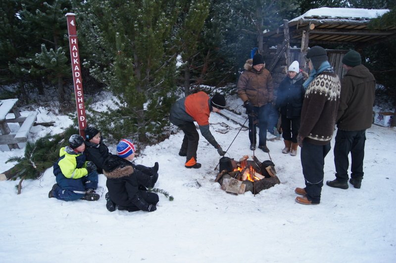 Skógardagar í Haukadalsskógi