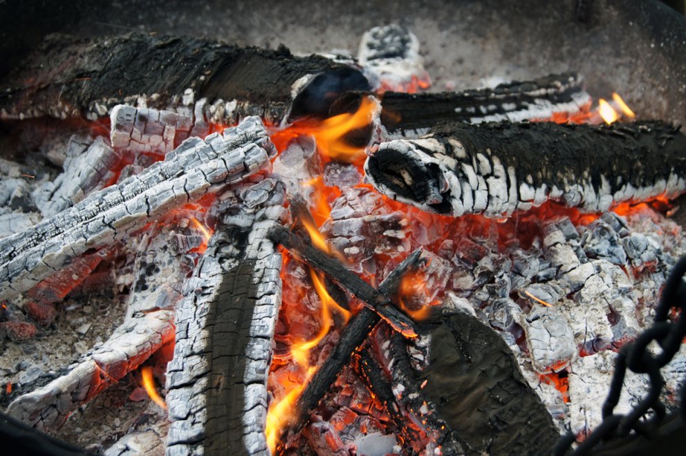 Málþing um gróðurelda