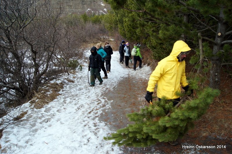Fræddust um umhverfismál og klipptu greinar