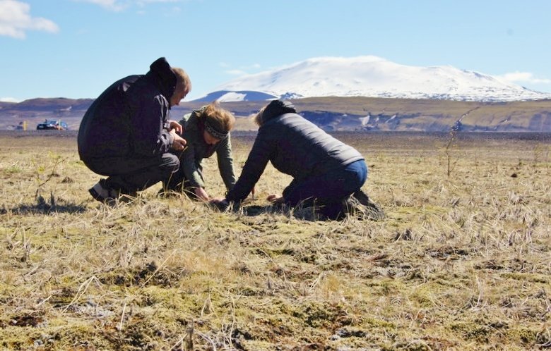Fjölmargir lærðir og leikir leggja gjörva hönd að Hekluskógaverkefninu með gróðursetningu, áburðargj&hellip;
