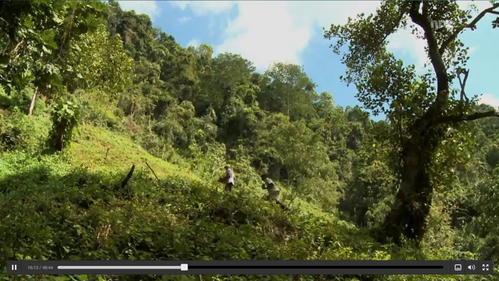 Bændur bjarga heiminum