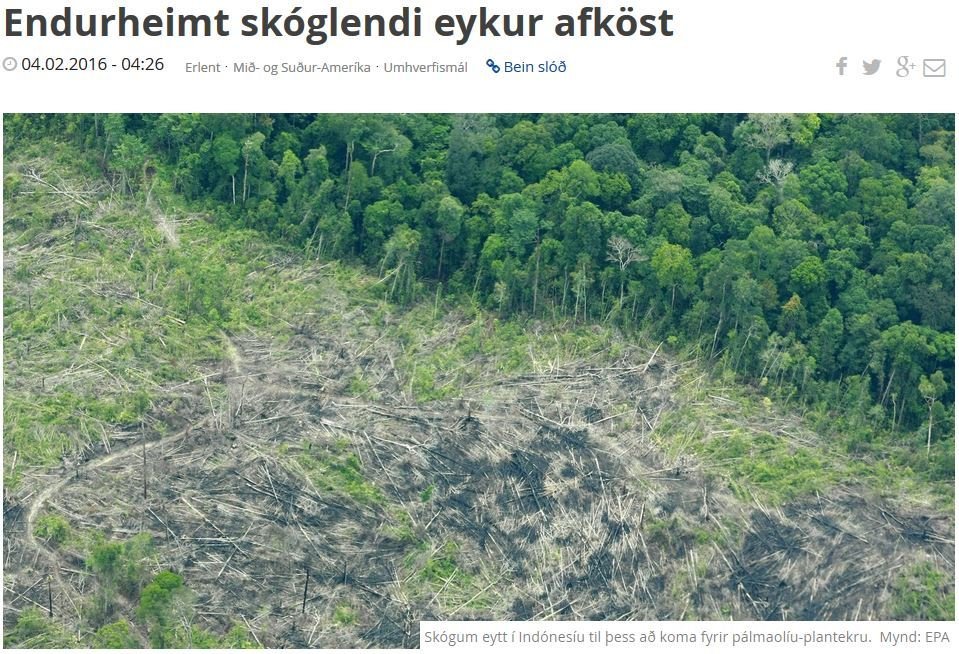 Aukinn vöxtur í endurheimtum hitabeltisskógi