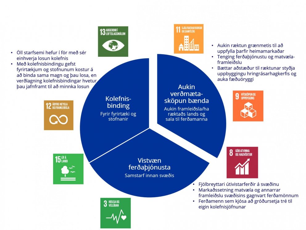 Á þessu kökuriti sem birt er með grein Sveins, Ólafs og Sigurlínu, er gefin góð mynd af þeim tækifær…