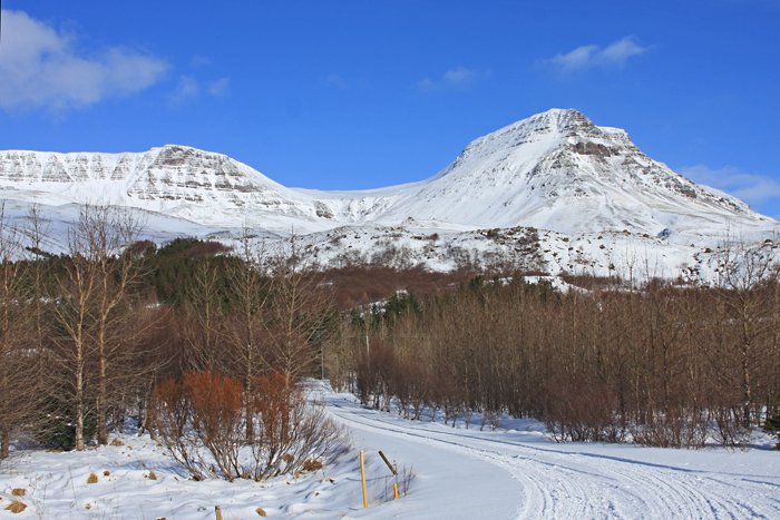(mynd: Brynja Hrafnkelsdóttir)