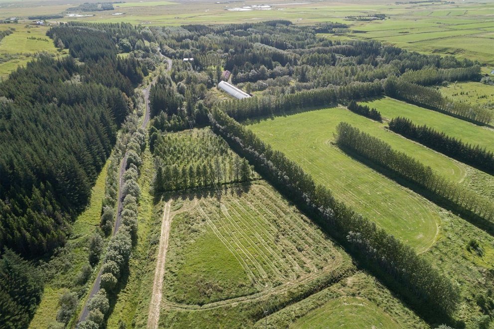 Evrópulerkifrægarðurinn nýi í landi Tungu við Tumastaði í Fljótshlíð. Ljósmynd: Hrafn Óskarsson