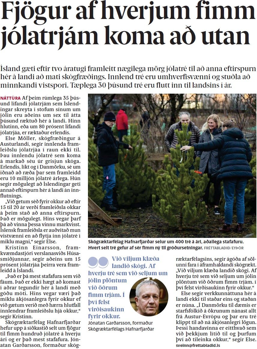 Fjögur af hverjum fimm jólatrjám koma að utan