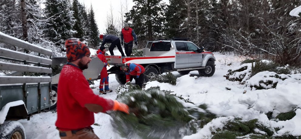 Félagar í Flugbjörgunarsveitinni í Reykjavík ferma bíla sína með iðjagrænum jólatrjám úr Þjórsárdals…