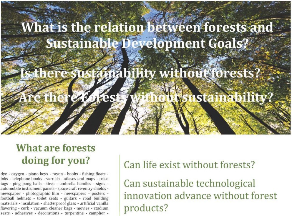 Skógar og sjálfbær þróun