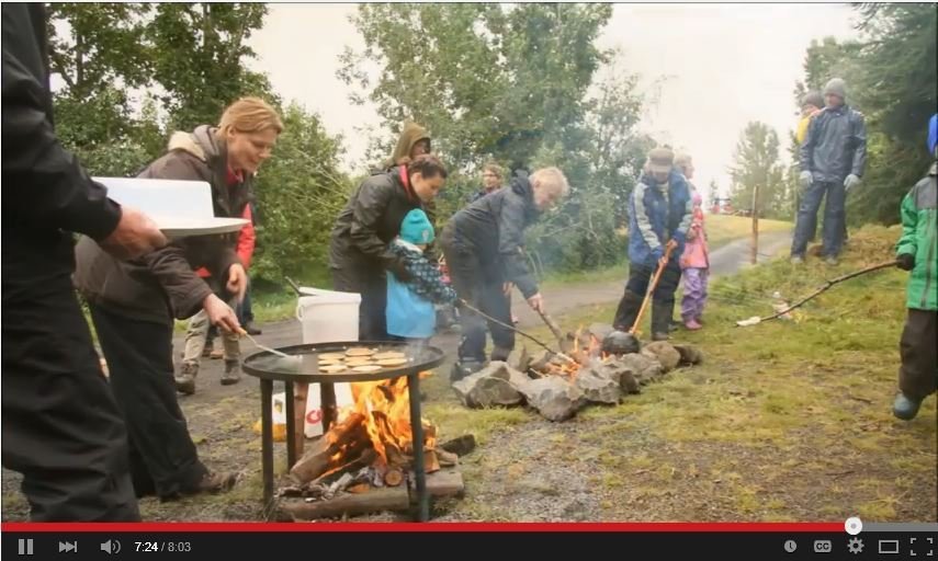 Myndband á ensku um skógrækt á Íslandi