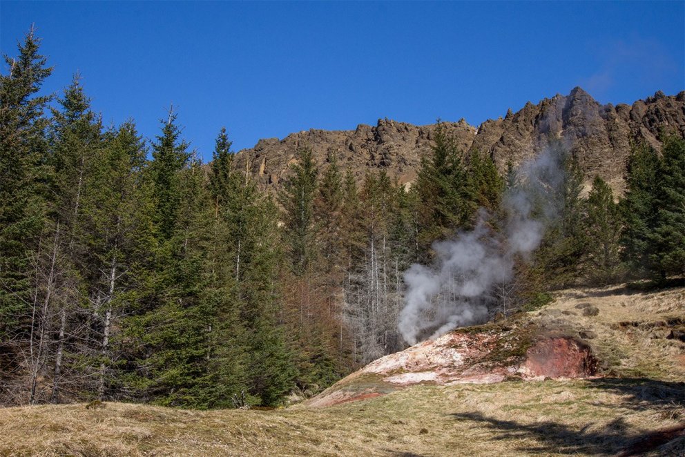 Forhot-rannsóknasvæðið í Varmadal við Hveragerði. Ljósmynd: Edda Sigurdís Oddsdóttir