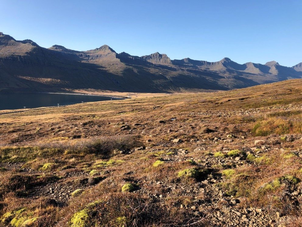 Frá Óseyri við Stöðvarfjörð. Ljósmynd: Lárus Heiðarsson