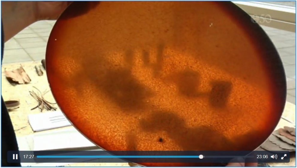 Víði má nýta með margvíslegum hætti ef sköpunarkrafturinn og ímyndunaraflið er nýtt. Tilraunir eru g…