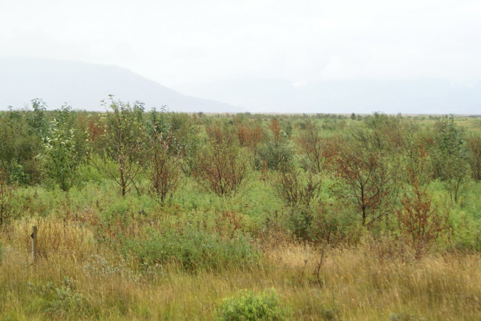 (mynd: Halldór Sverrisson)

Frétt 2. sept. 2009