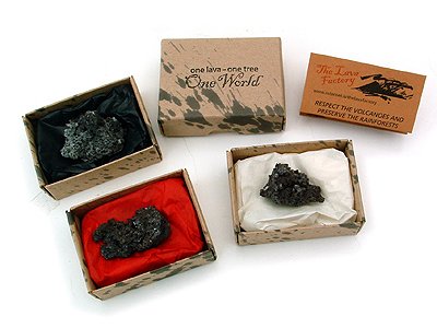 Birkitré fylgir minjagrip