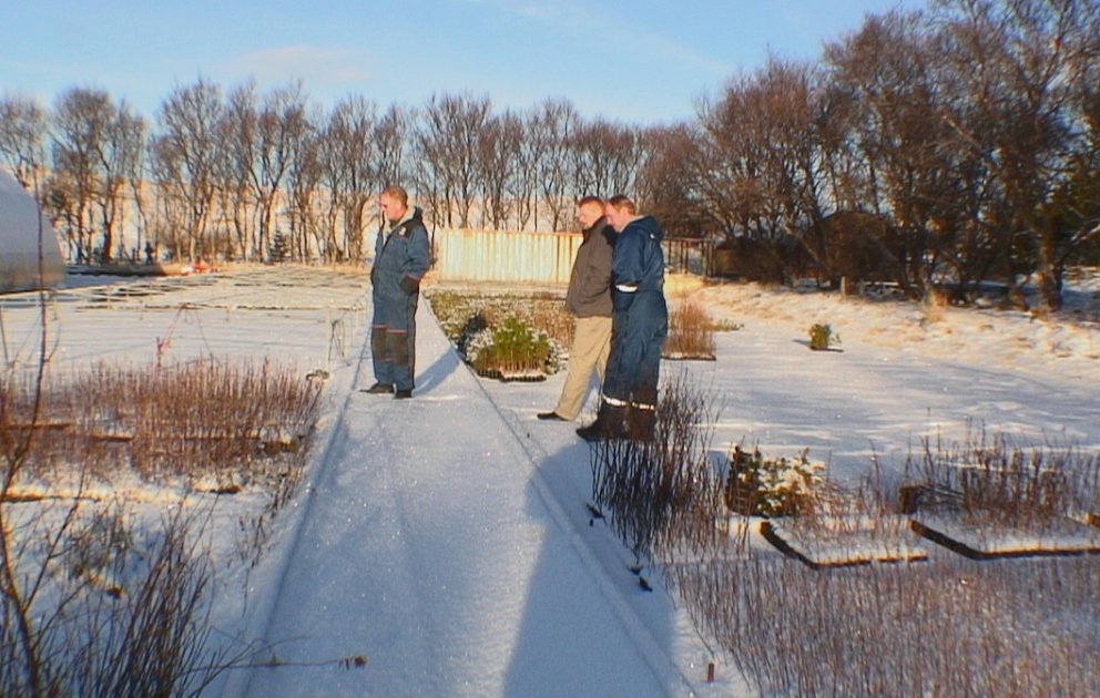 Gróðrastöðin á Tumastöðum í fullan rekstur á ný