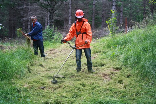 Sjálfboðaliðar í
göngustígagerð í Skorradal