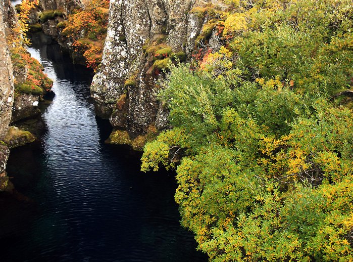 Mynd: Valgerður H. Rúnarsdóttir
