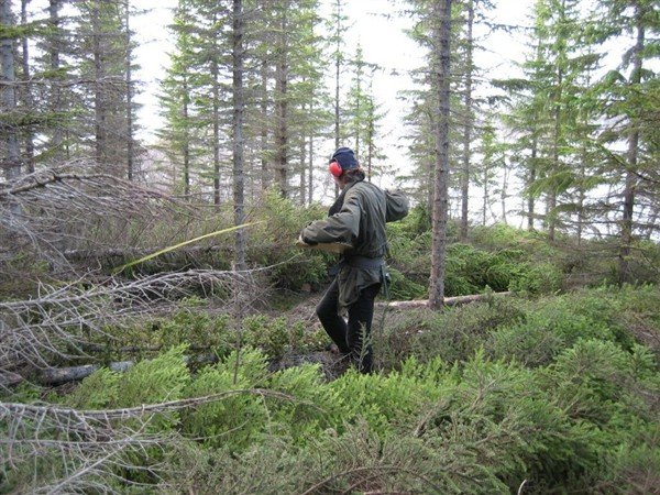 Mælingar í Þjórsárdal