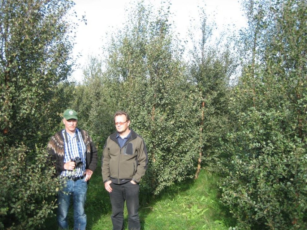 Mynd: Þröstur Eysteinsson