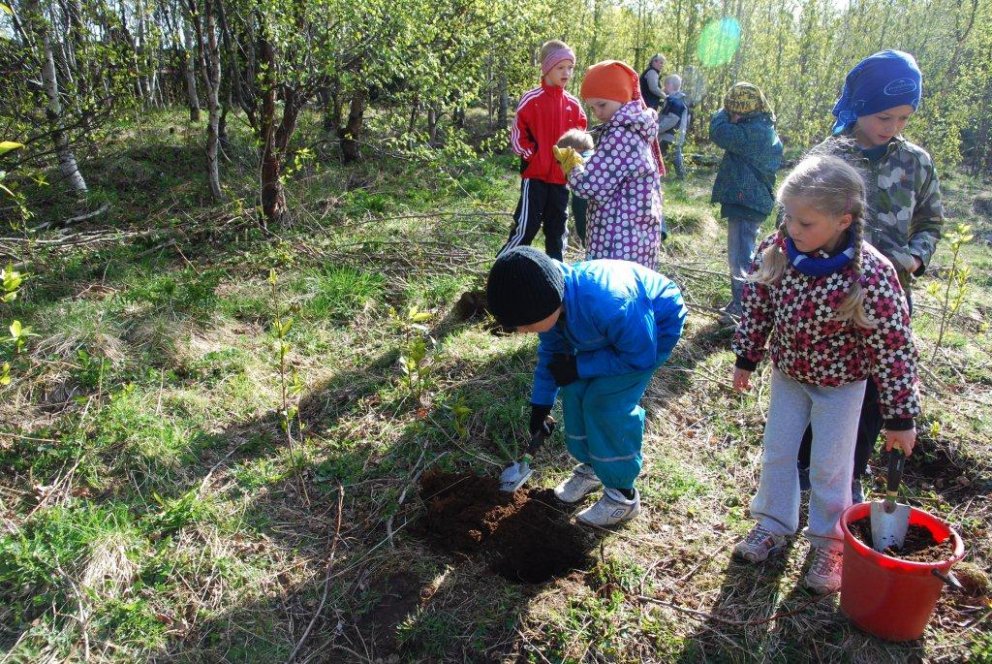 (Mynd: Ólafur Oddsson)