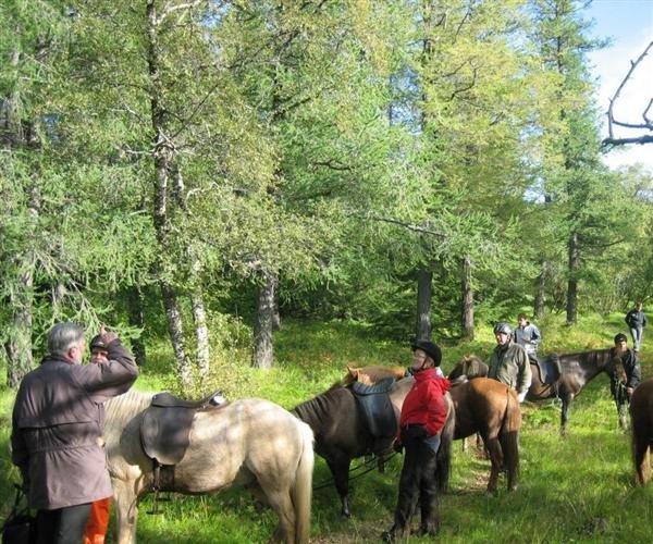 Heimsókn umhverfisráðherra í Hallormsstaðaskóg