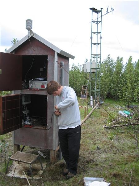 Meistaravörn:  Áhrif skógræktaraðgerða á viðarvöxt
 og flæði kolefnis í asparskógi