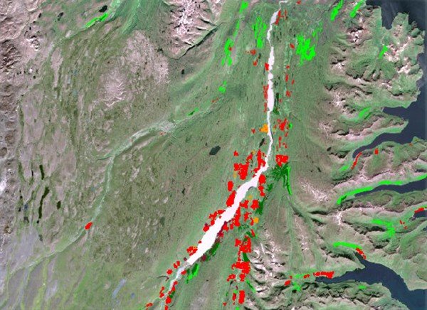 Skoðaðu skógrækt í Náttúruvefsjánni