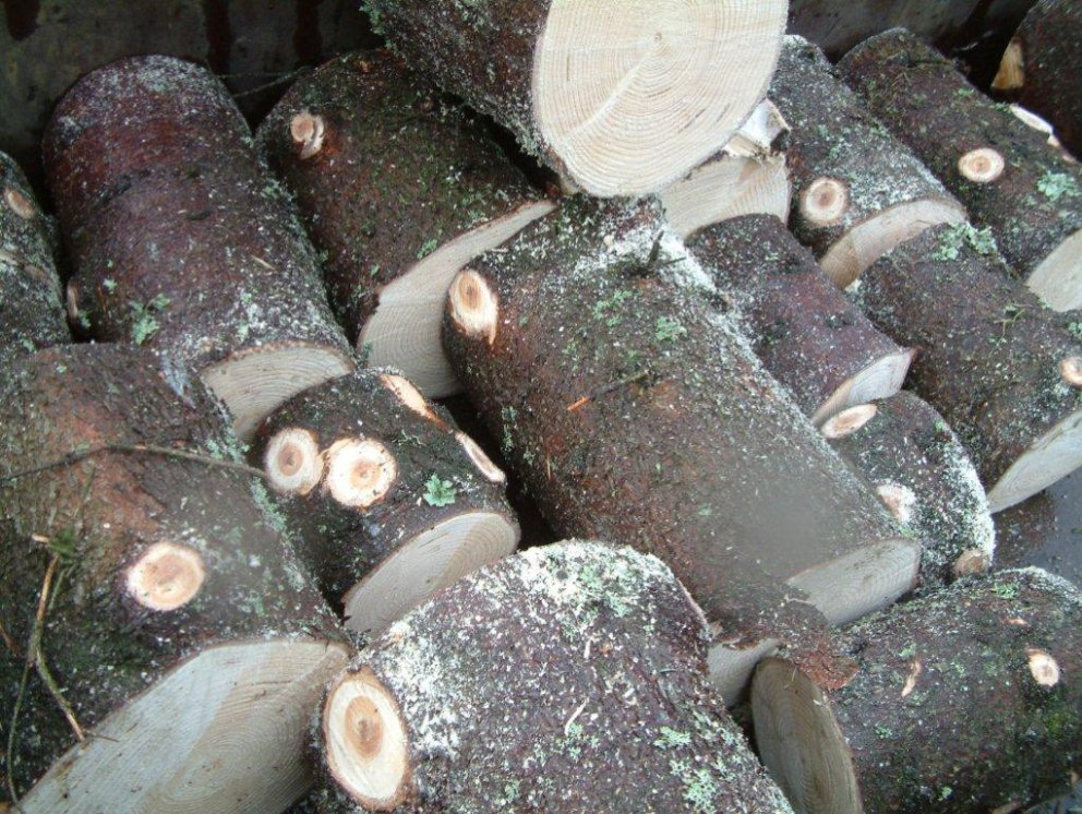 (Mynd: Ólafur Oddsson)