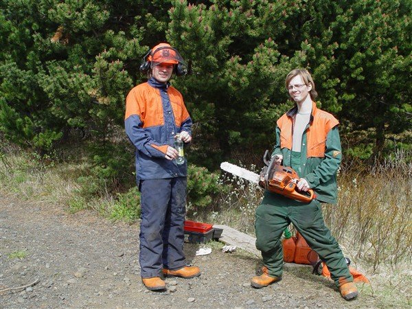 Skógrækt ríkisins skapar störf