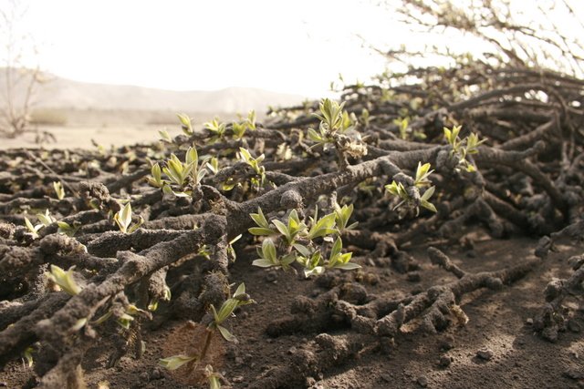 Mynd: Hreinn Óskarsson