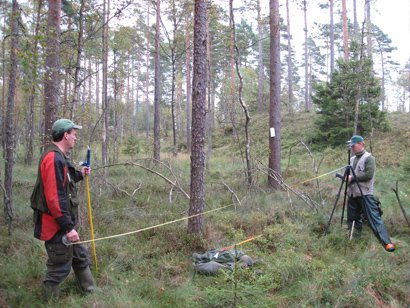 Íslenskur sérfræðingur í sænskri skógarúttekt