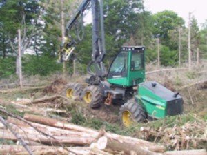 Vilt þú skoða skógarhöggsvél?