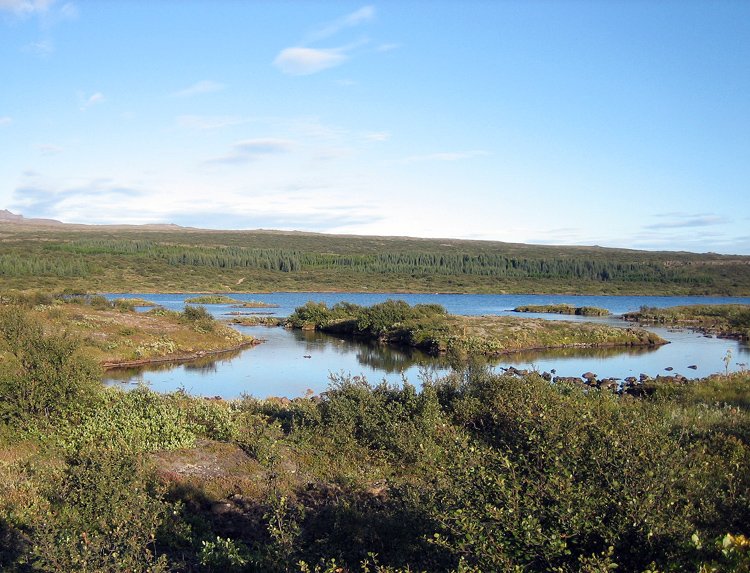 (Mynd: Þröstur Eysteinsson)