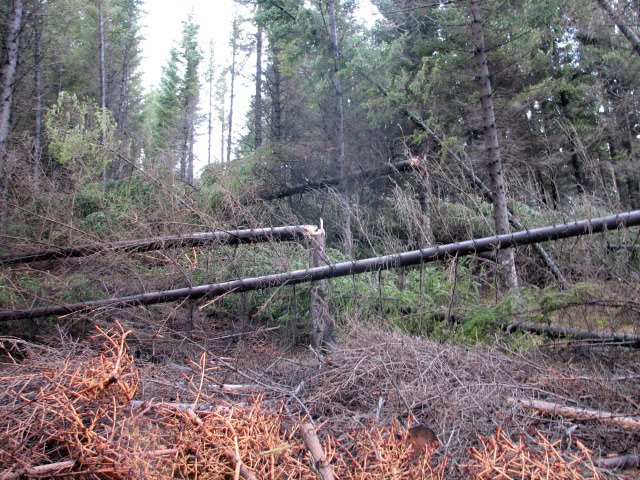 Stormfall í Skorradal