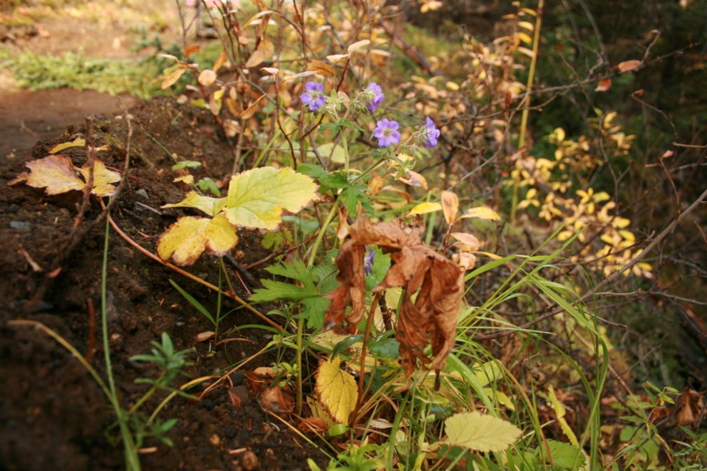 (Mynd: Hreinn Óskarsson)