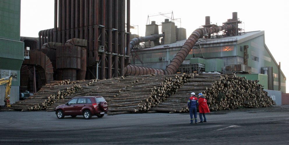 Stærsti timburstafli á Íslandi