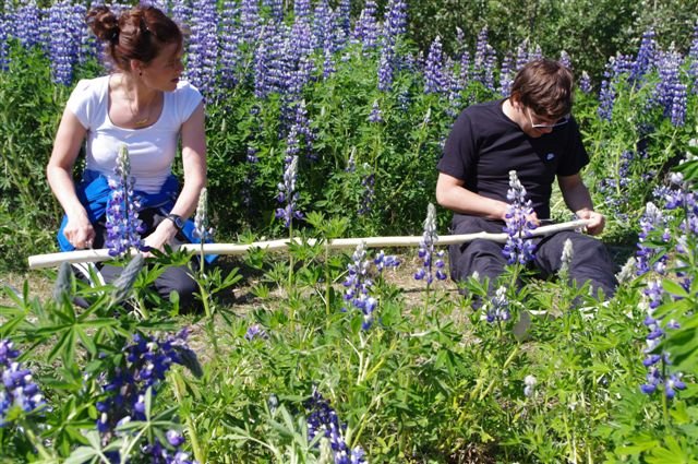 Mynd: Ólafur Oddsson