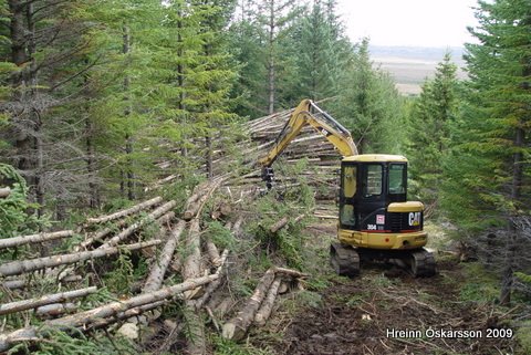 (mynd: Hreinn Óskarsson)