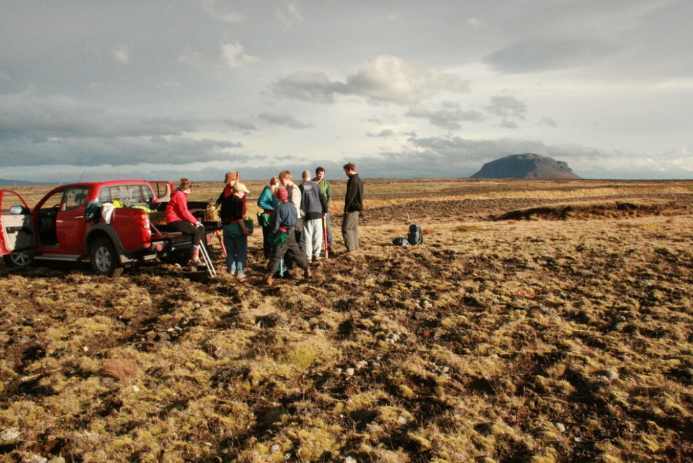 (Mynd: Hekluskógar)