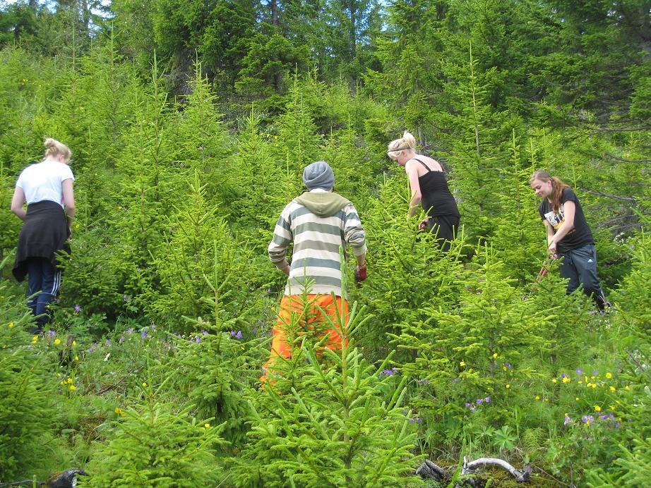 Margar hendur vinna létt verk