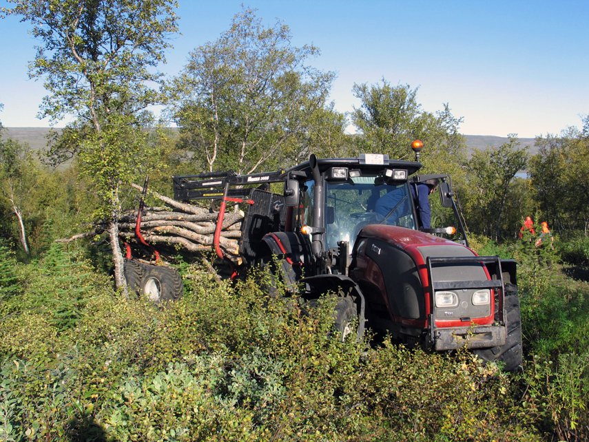 Haustgrisjun á Hallormsstað