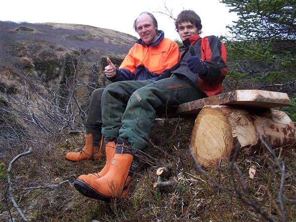 Stígagerð í Haukadal