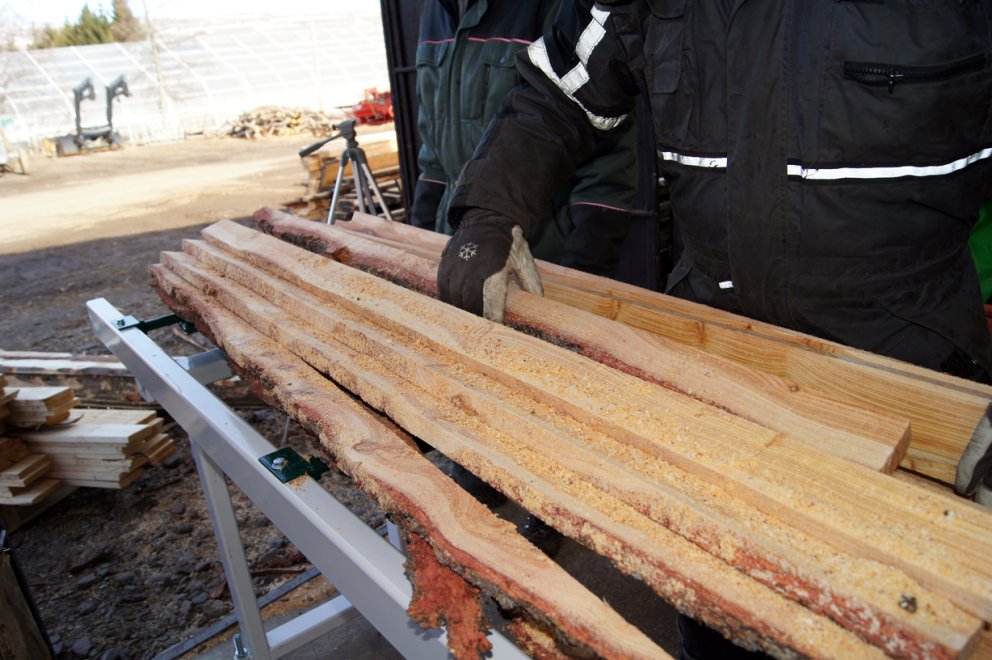 (Mynd: Esther Ösp Gunnarsdóttir)