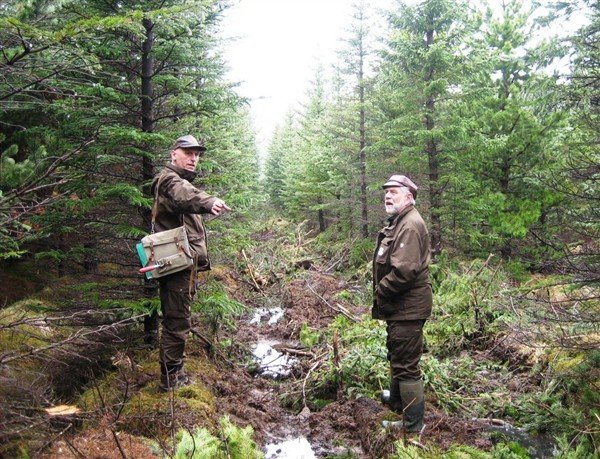 Heimsókn í Haukadalsskóg