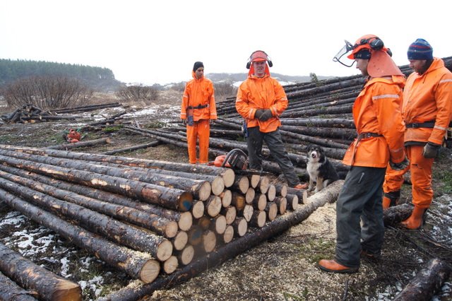 (Mynd: Hreinn Óskarsson)