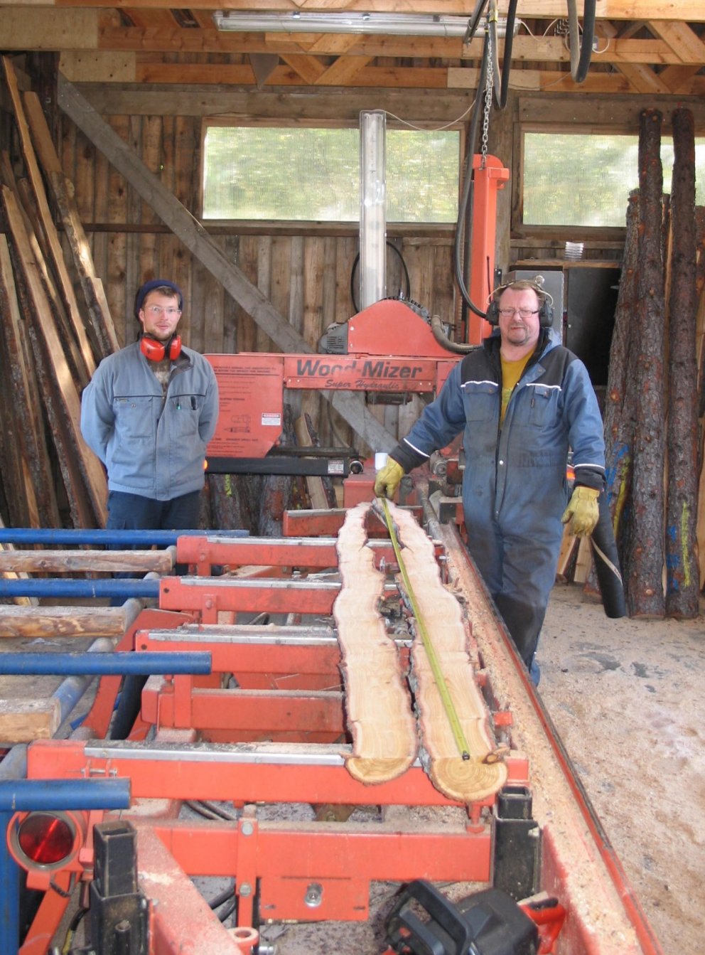 Viðargæði lerkis könnuð á Hallormsstað