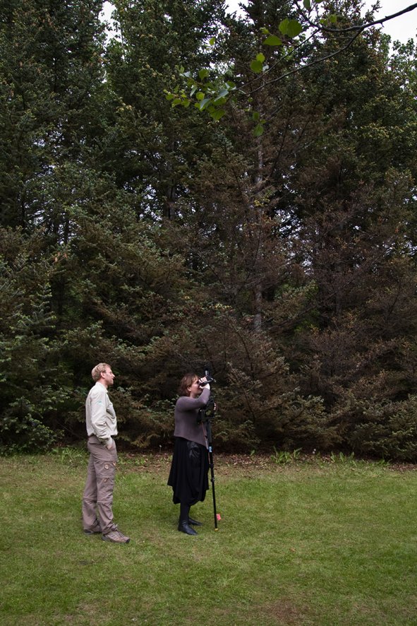 Umhverfisráðherra
í heimsókn á Mógilsá