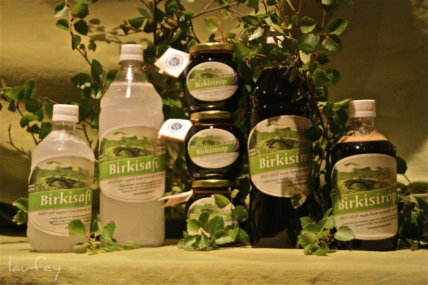 Birkisafi í fyrsta sinn framleiddur og seldur hérlendis